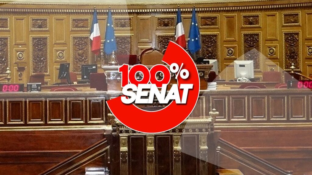 Le Sénat adopte une nouvelle loi sur la régulation des plateformes numériques en France.
