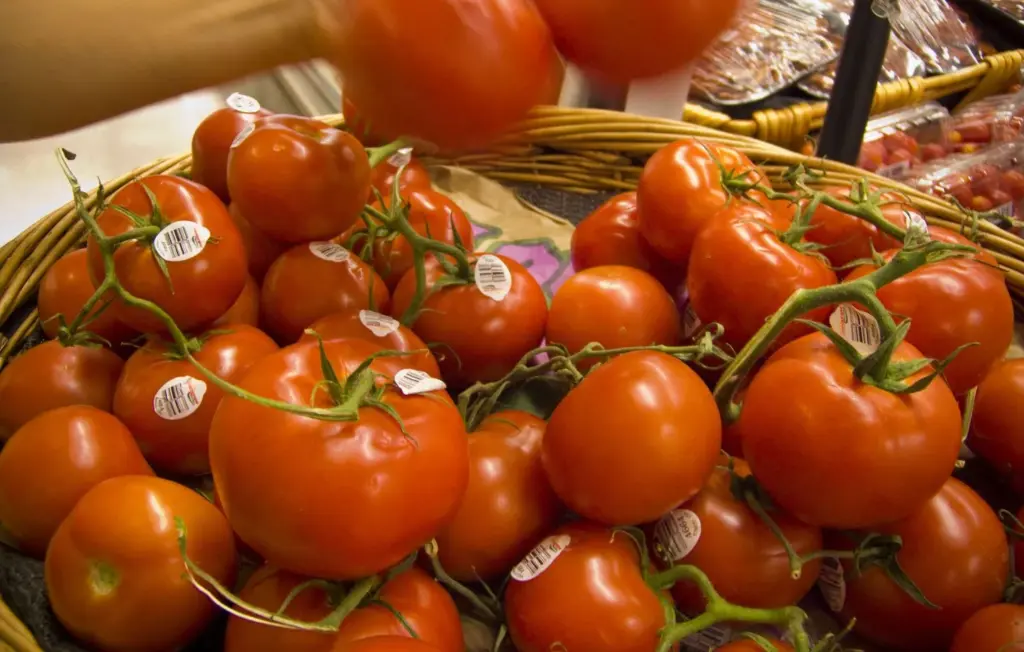Sécheresse : U annule une promotion sur les tomates pour éviter des pertes aux agriculteurs
