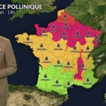 Pollens d&rsquo;ambroisie et d&rsquo;urticacées saturent l&rsquo;air, aggravant les allergies en été.