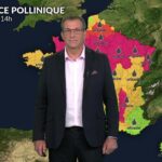 Pic d&rsquo;ambroisie et d&rsquo;urticacées en France en raison de la chaleur actuelle