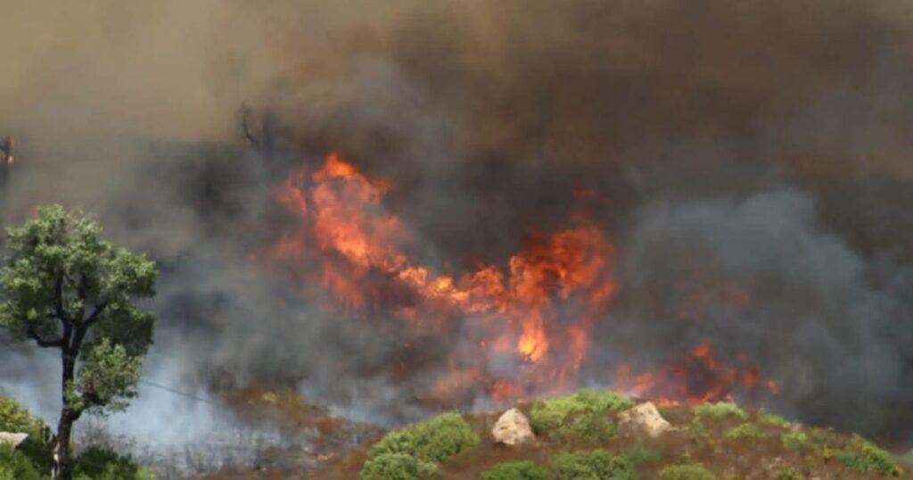 Incendies en Europe : plus de 600 000 hectares brûlés, la situation alarmante persiste.
