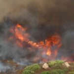 Incendies en Europe : plus de 600 000 hectares brûlés, la situation alarmante persiste.