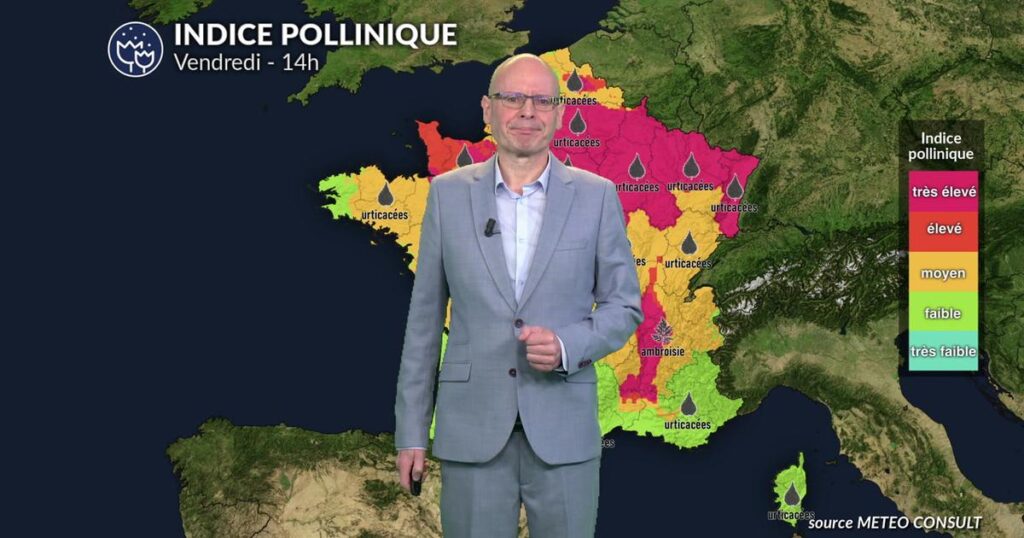 Alerte rouge pour les allergies aux pollens : risques élevés du nord au sud-est.