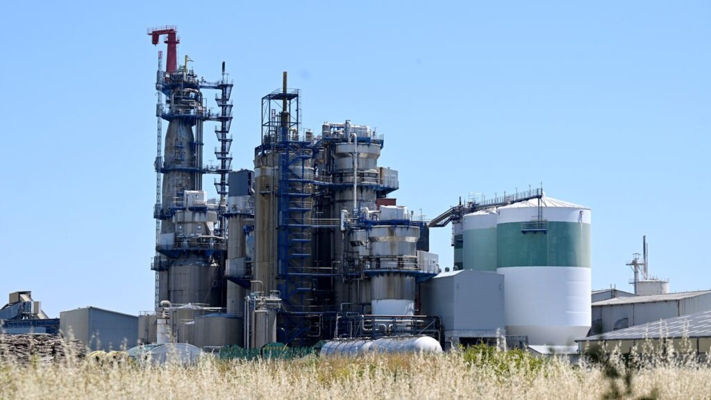 Fibre Excellence : élargissement du front pour une nationalisation temporaire à Saint-Gaudens