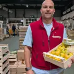 Rungis : pertes agricoles de 100 % sur certaines variétés en raison de la canicule estivale