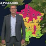 Concentrations de pollens très élevées ce week-end dans le tiers nord du pays.