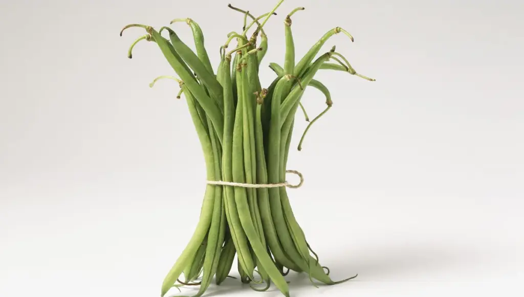 Recette de haricots verts avec vinaigrette pralinée et burrata fumée en France