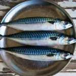 Maquereau mariné au vinaigre umeboshi et riz koshihikari : une recette japonaise authentique.