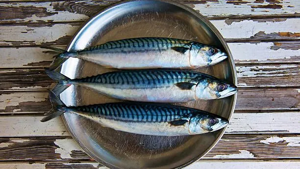 Maquereau mariné au vinaigre umeboshi et riz koshihikari : une recette japonaise authentique.