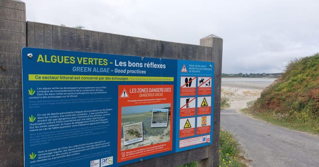 Rapport de la Cour des comptes sur les algues vertes présenté aux élus bretons