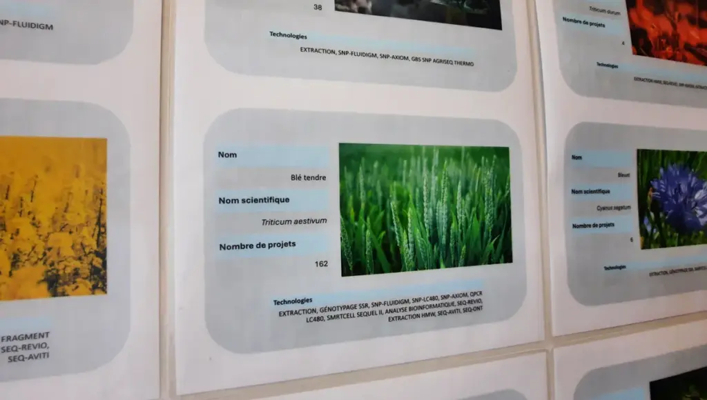 Sélection des espèces résistantes au climat par des chercheurs en génétique environnementale