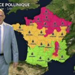 Alerte maximale dans le Nord et l&rsquo;Est : forte chaleur augmente les taux d&rsquo;ambroisie et d&rsquo;urticacées.