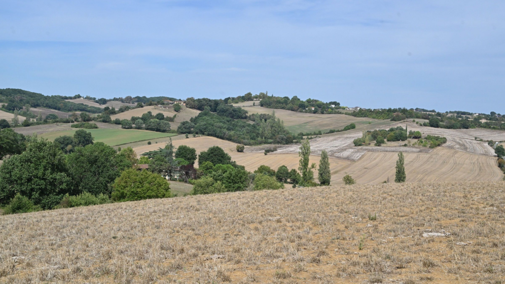 Présidentielle 2027 : Les propositions des candidats sur les crises agricoles en France