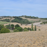 Présidentielle 2027 : Les propositions des candidats sur les crises agricoles en France