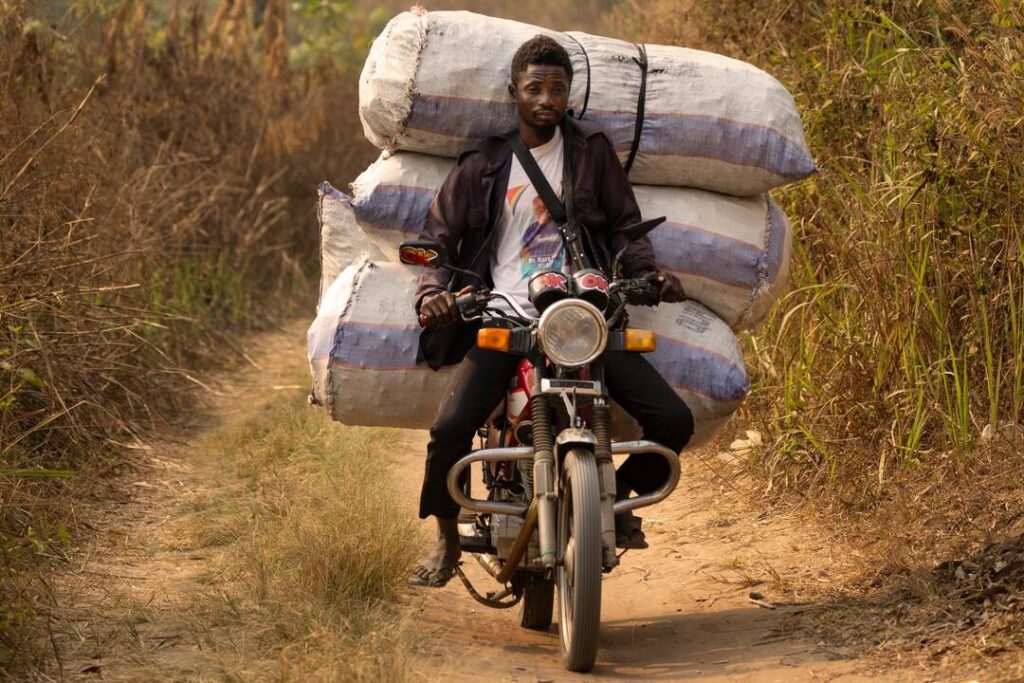 « Les lois de la jungle, épisode 2 : Kinshasa face à la crise du charbon de bois »