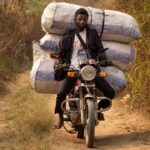 « Les lois de la jungle, épisode 2 : Kinshasa face à la crise du charbon de bois »