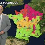 Alerte ambroisie et urticacées dans l&rsquo;est et le nord face à des températures élevées
