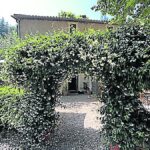 Les Cévennes attirent de jeunes chefs : la Manne du Moulin modernise les saveurs locales.