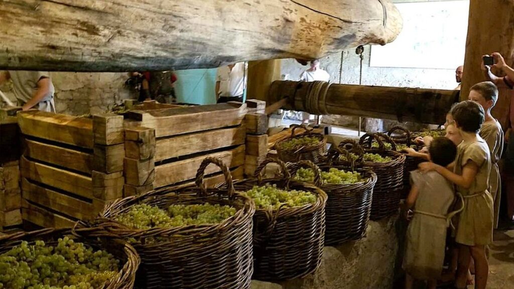 Les vendanges romaines se dérouleront au Mas des Tourelles à Beaucaire ce dimanche.