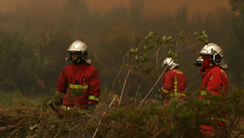 Incendies : les sapeurs-pompiers face aux risques pour leur santé et leur protection