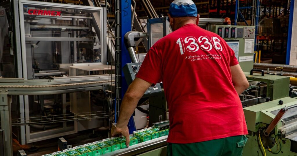 Gémnos : Scopti appelle à un soutien pour relancer son activité économique.