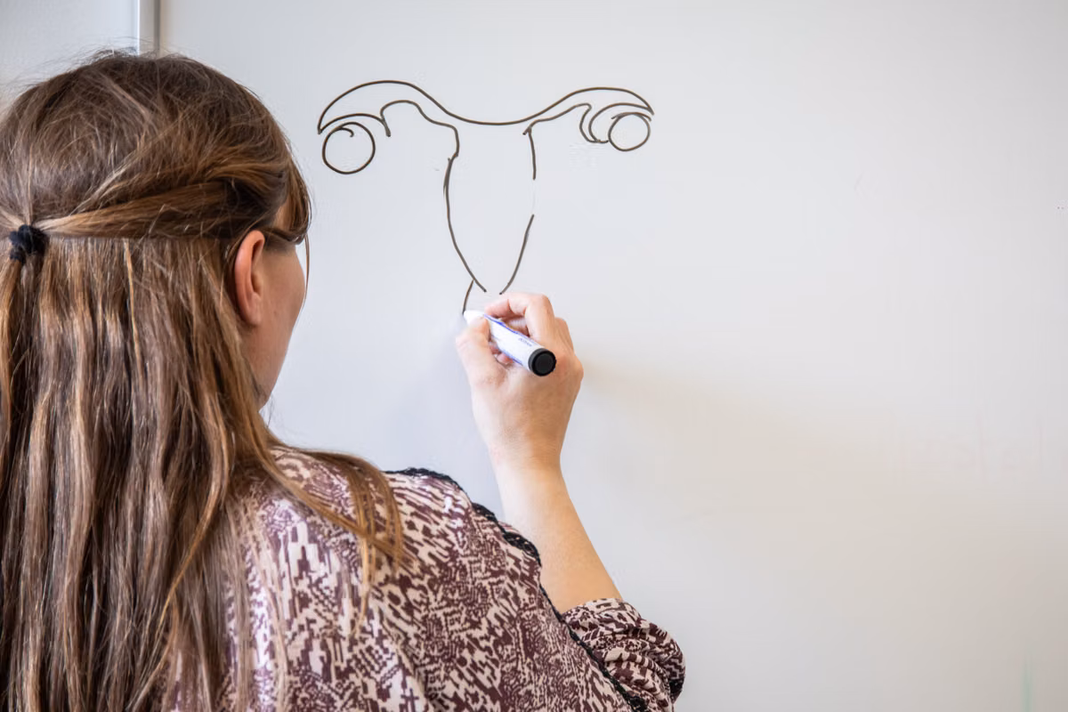 Éducation à la sexualité à l’école : tensions autour des programmes en France
