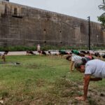Bordeaux : retour des dimanches sportifs après la fin des squats.