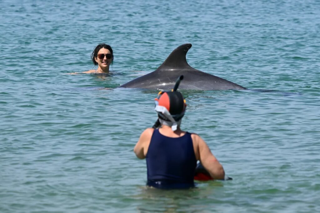 Fermeture de la pêche dans le Golfe de Gascogne pour un mois en raison de la régulation des stocks.