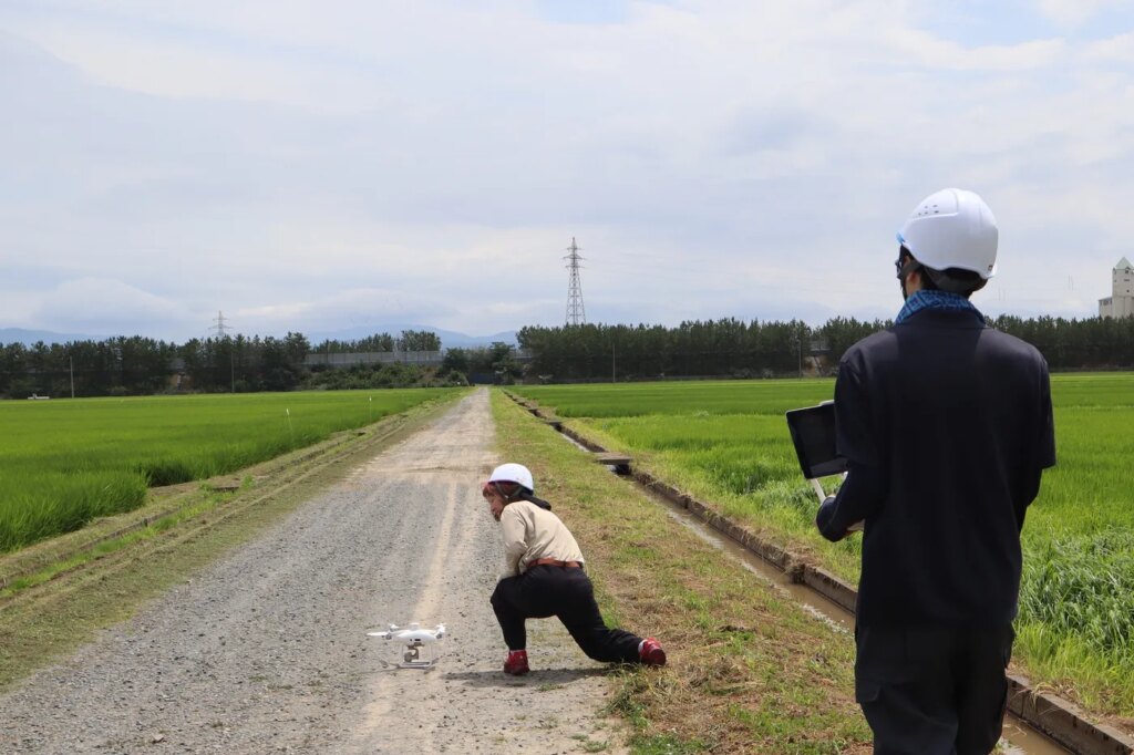 Japon : Aigamo, le robot qui améliore la culture du riz dans les rizières.