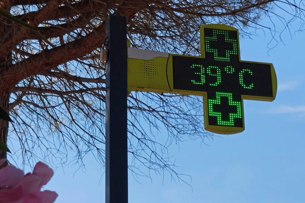Climat : l’été en France a enregistré des températures record selon Météo-France.