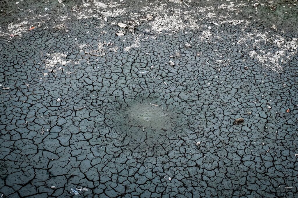 El Niño assèche la Guyane : les agriculteurs alertent sur une crise imminente