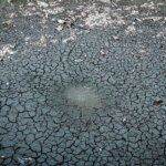 El Niño assèche la Guyane : les agriculteurs alertent sur une crise imminente