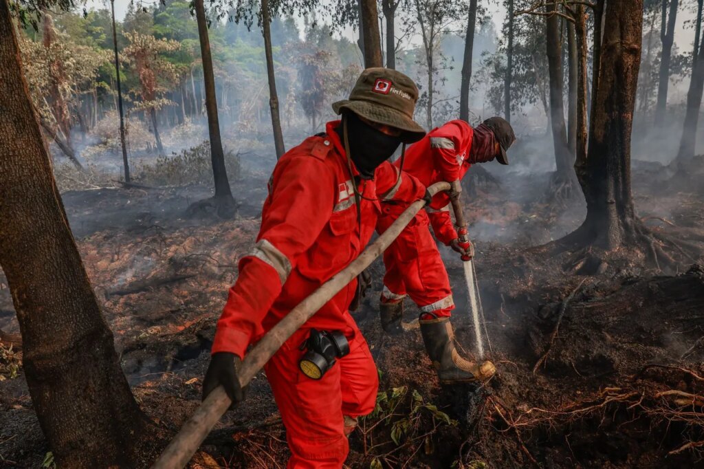 Incendies monstres en Indonésie liés à El Niño et au réchauffement climatique.