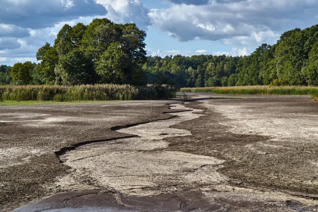 Monique Barbut propose d’affecter 10 milliards d’euros du Livret A à l’adaptation climatique.