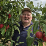 Canicule et sécheresse menacent la production de fruits en Nord Alsace, des pertes redoutées
