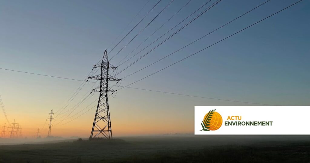 Ligne THT en Camargue : l’autorité environnementale souligne des insuffisances majeures.