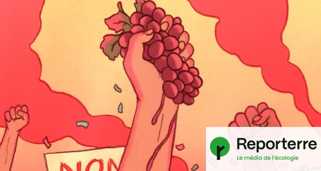 Saisonniers des vignes contraints de quitter les villes face à des décisions administratives.