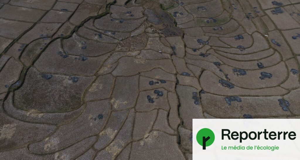 Un super El Niño dévastateur arrive, l’Europe devrait être épargnée selon les experts.