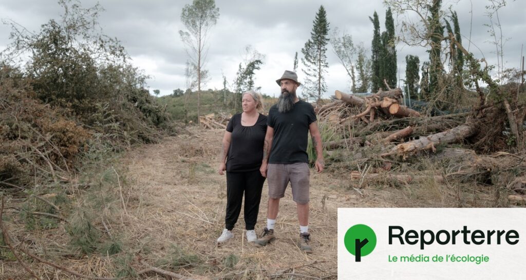Tornade dévastatrice : les agriculteurs doivent reconstruire après la destruction.