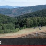 Développement touristique à Au Champ du feu : les inquiétudes autour du projet d’Henri Morel.