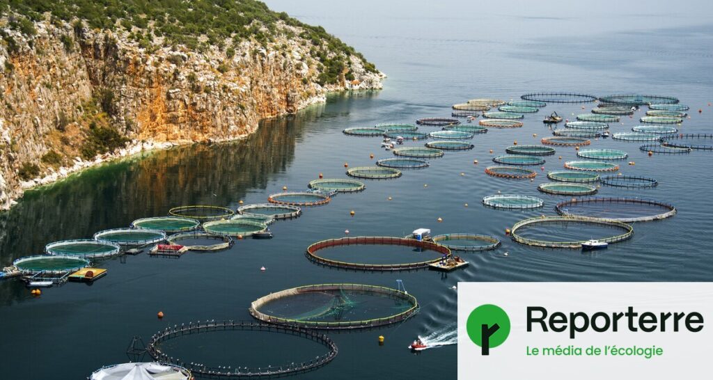 46 % des poissons pêchés pourraient être utilisés pour l’élevage aquacole mondial.