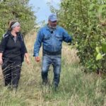 Sécheresse : 90 % de pertes pour les agriculteurs face à un été difficile