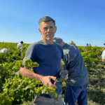 Un vigneron de Gaillac relance des cépages oubliés face au changement climatique.