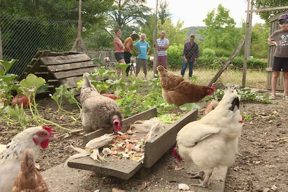 Un poulailler participatif renforce les liens entre les habitants d’une commune jurassienne.