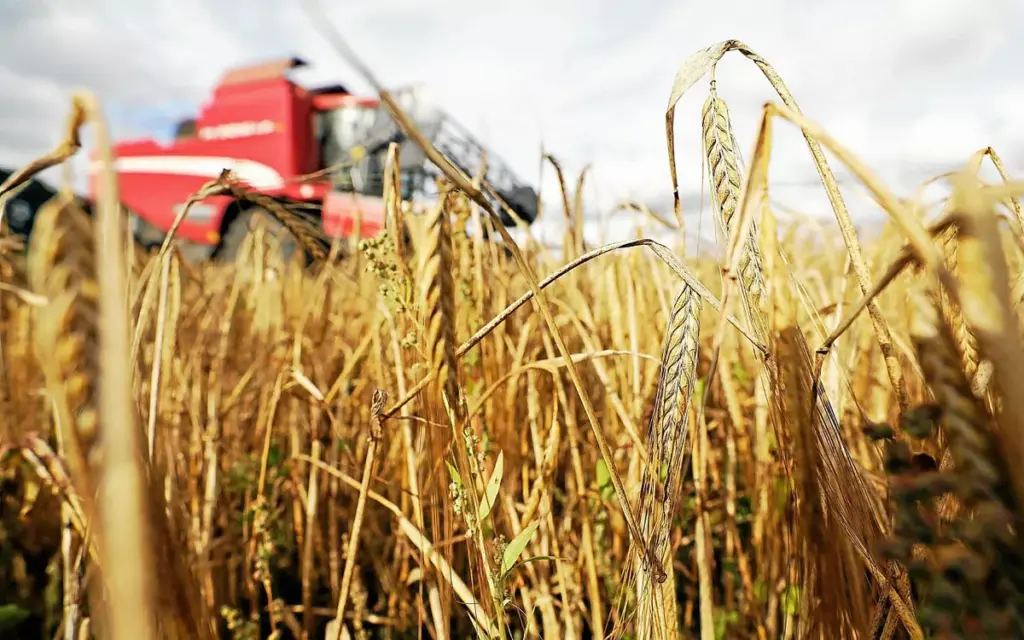 Agriculture : la Cour des comptes critique la mise en œuvre de la PAC en France comme inadaptée