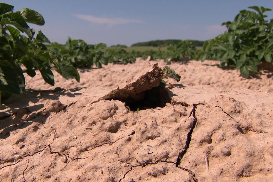 Sécheresse : le plan d’un milliard d’euros du gouvernement jugé insuffisant par les syndicats agricoles.