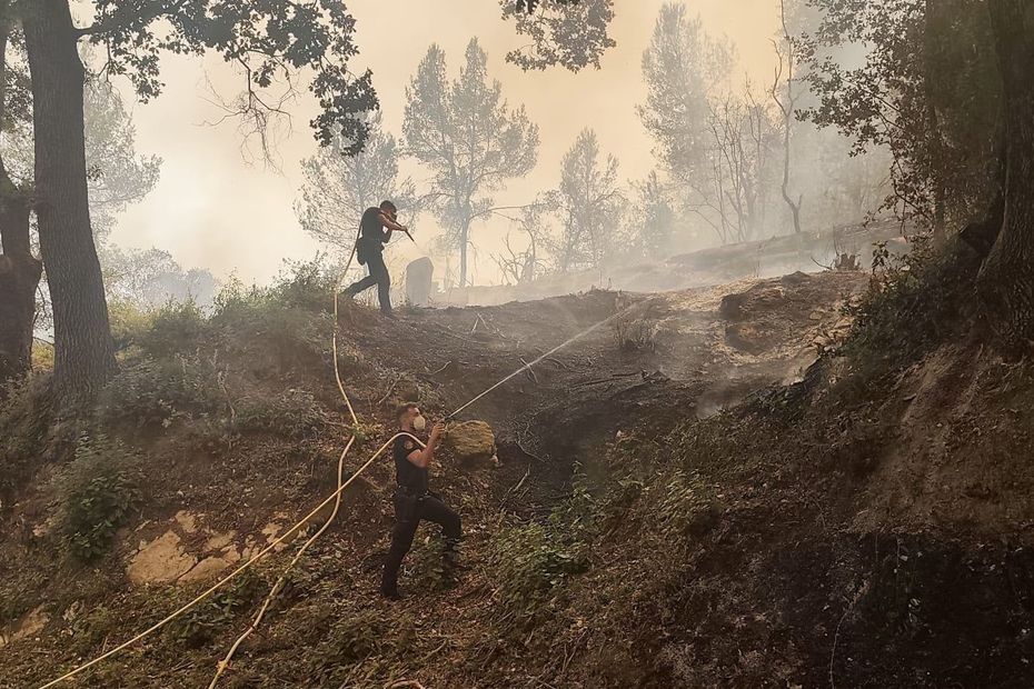 Incendies dans le Var : interdiction de la chasse au petit gibier dans les forêts touchées