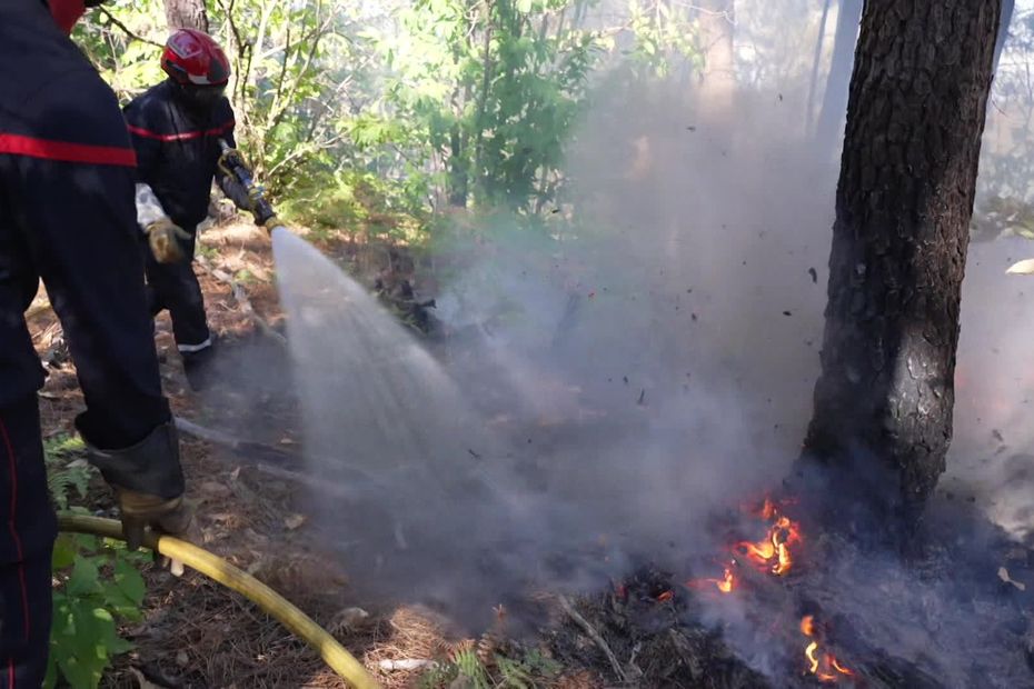 Incendie en Ardèche : 250 pompiers mobilisés, le feu toujours actif et non maîtrisé.