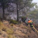 Aude : 225 hectares brûlés, 350 pompiers engagés dans l&rsquo;extinction des feux.