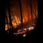 Incendie déclenché par un feu d&rsquo;artifice sauvage, trois mineurs interpellés par la Ville.